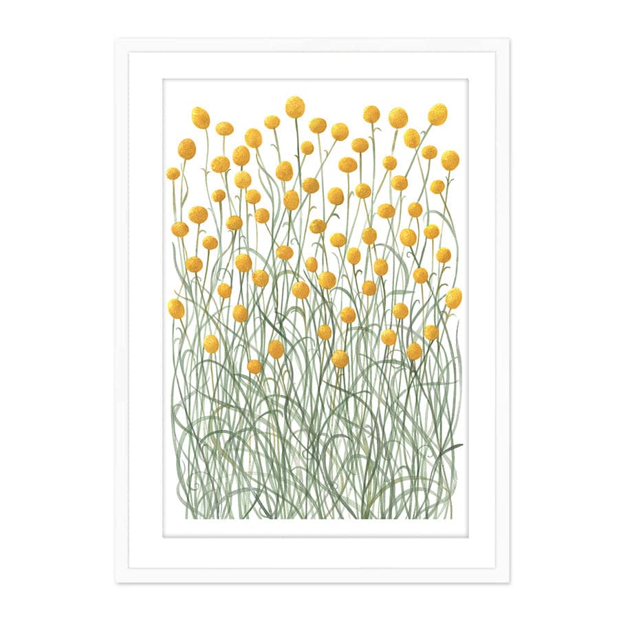 Billy Buttons by Natalie Ryan