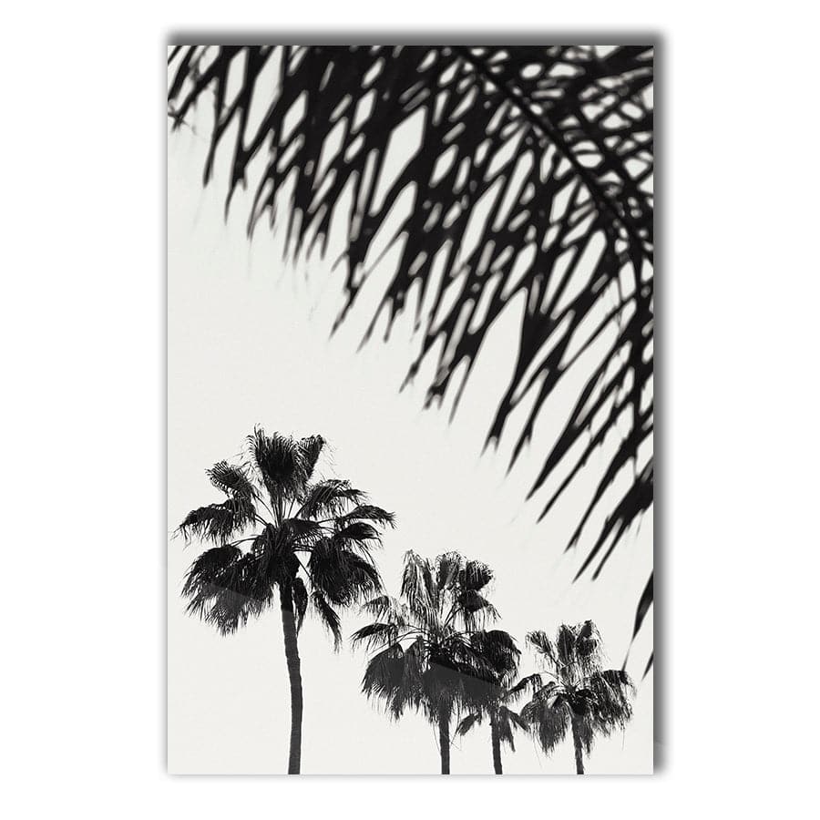 Palm 006 by Studio Scandi III
