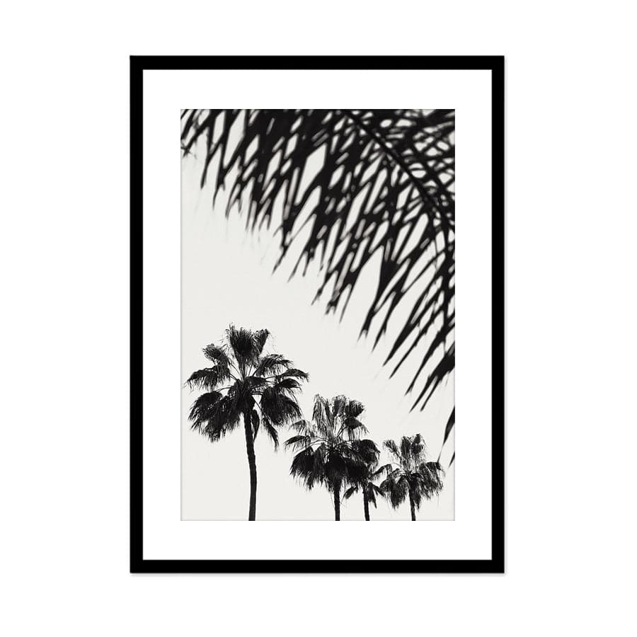Palm 006 by Studio Scandi III