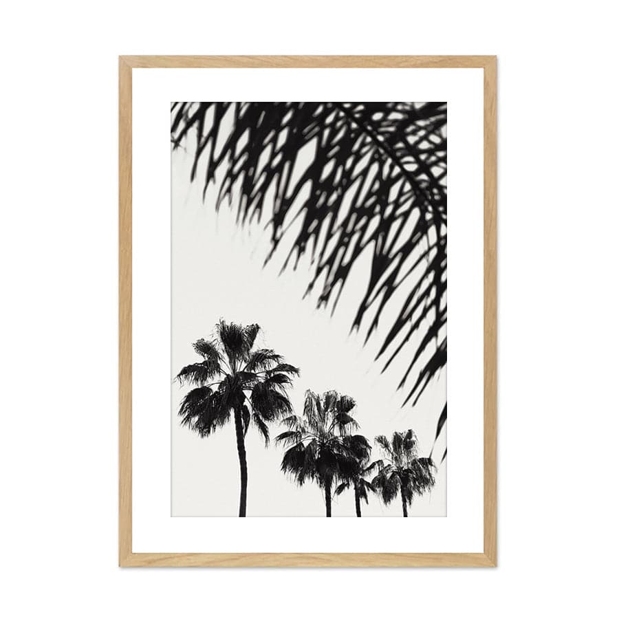 Palm 006 by Studio Scandi III
