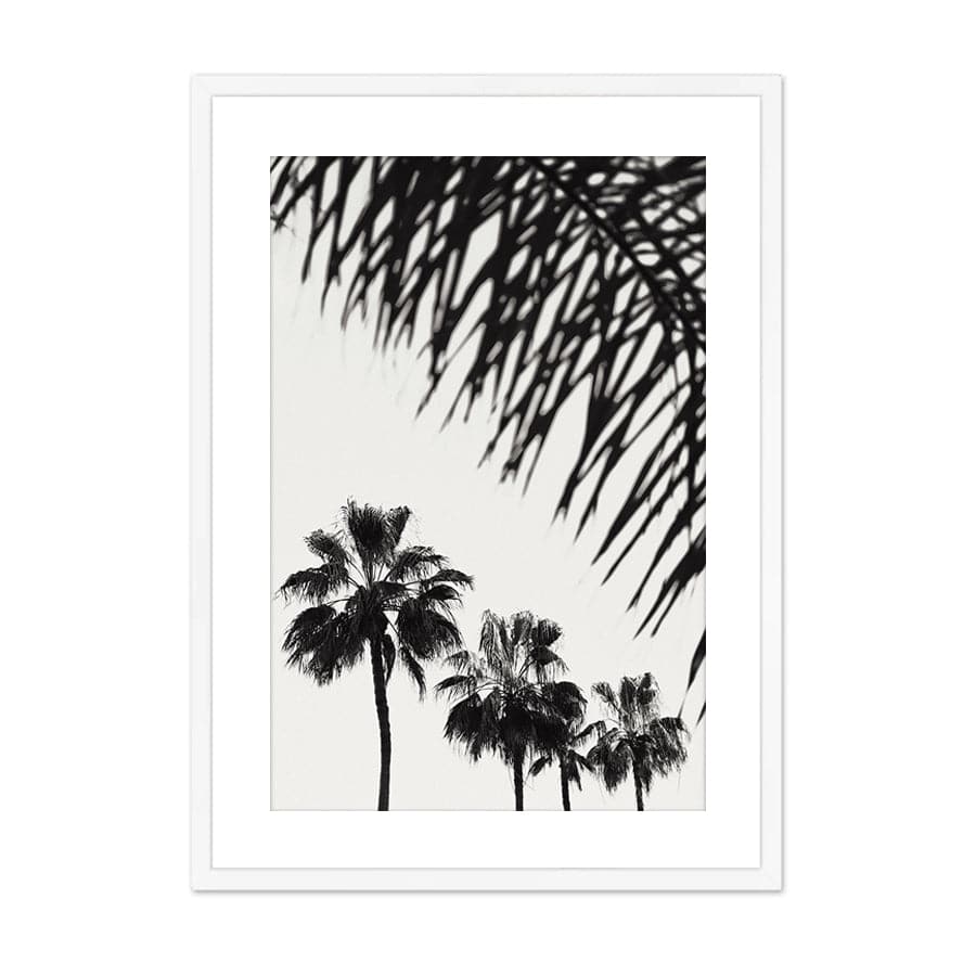 Palm 006 by Studio Scandi III
