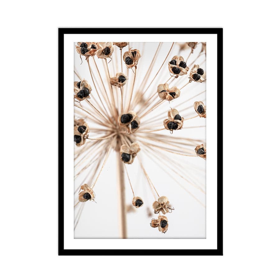 Dried Flowers 007 by Studio Scandi III