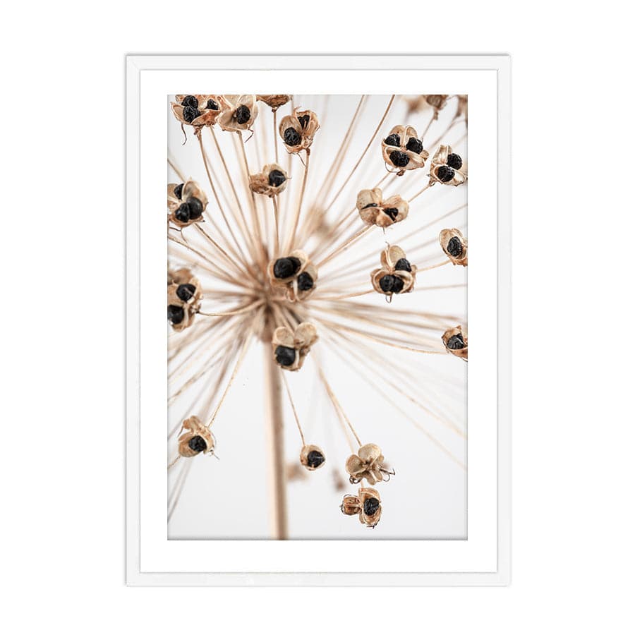 Dried Flowers 007 by Studio Scandi III