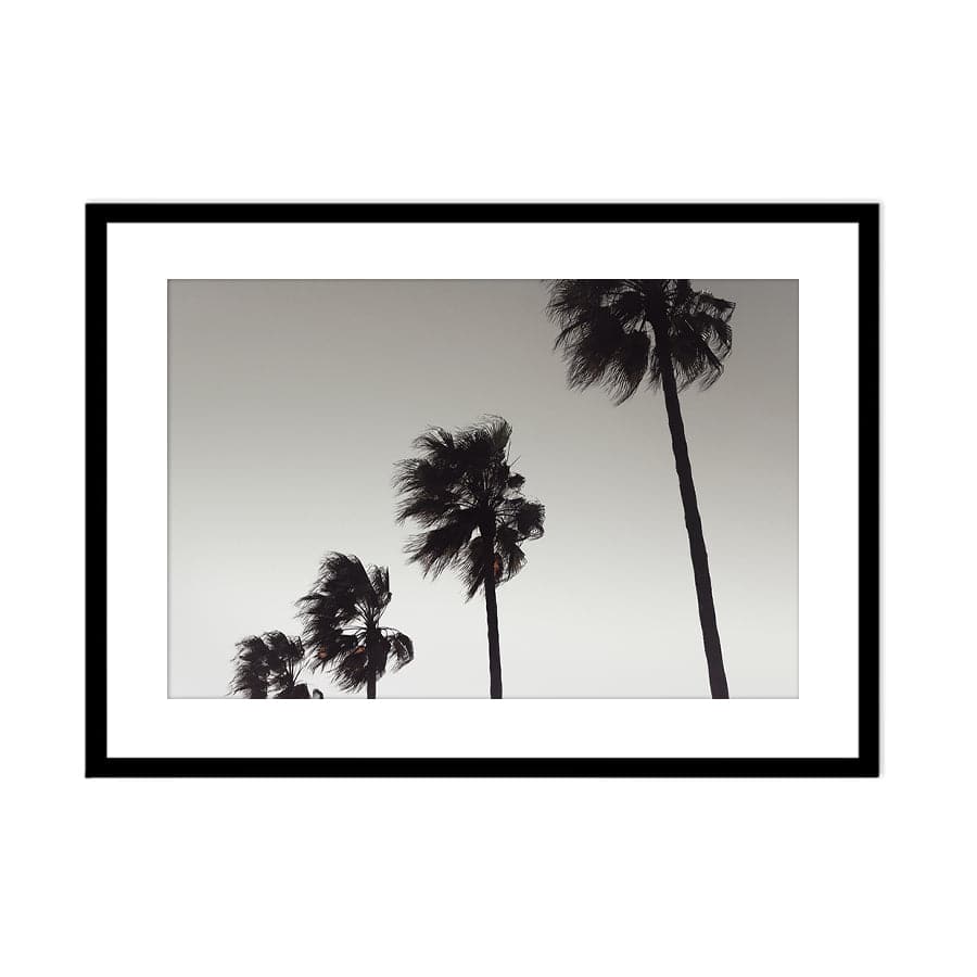 Palm 004 by Studio Scandi III