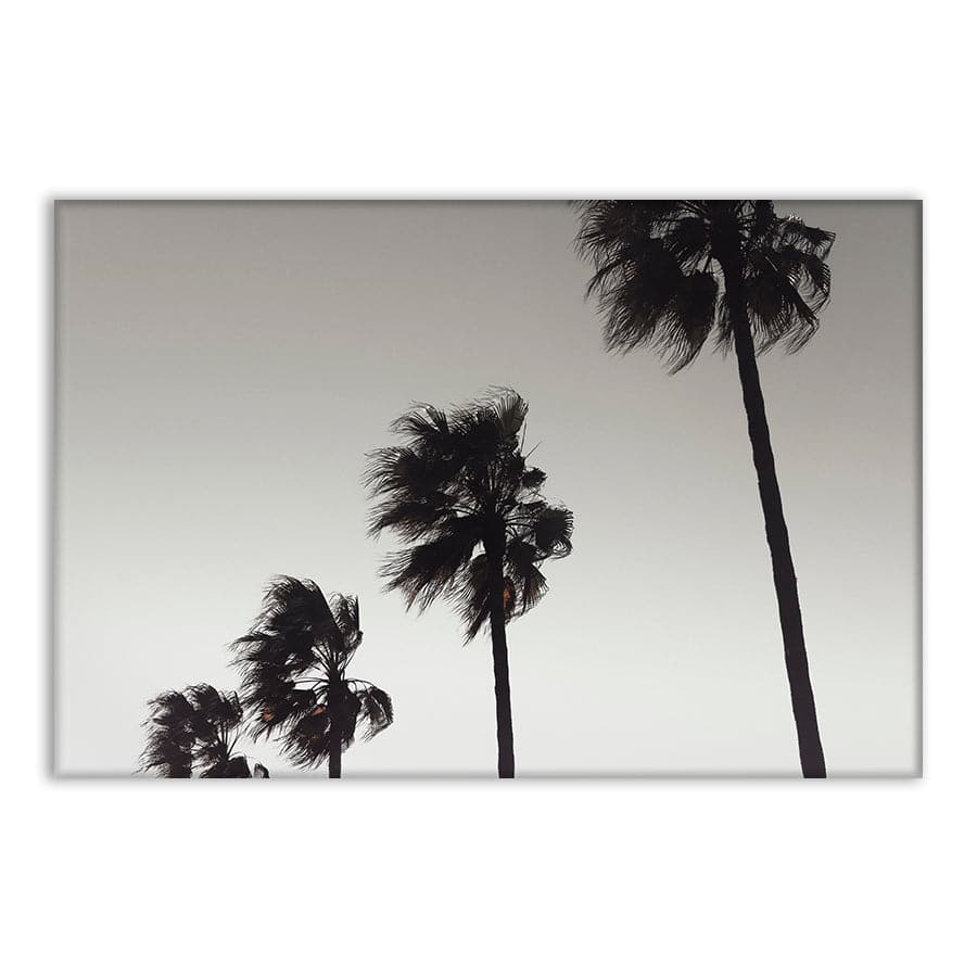 Palm 004 by Studio Scandi III
