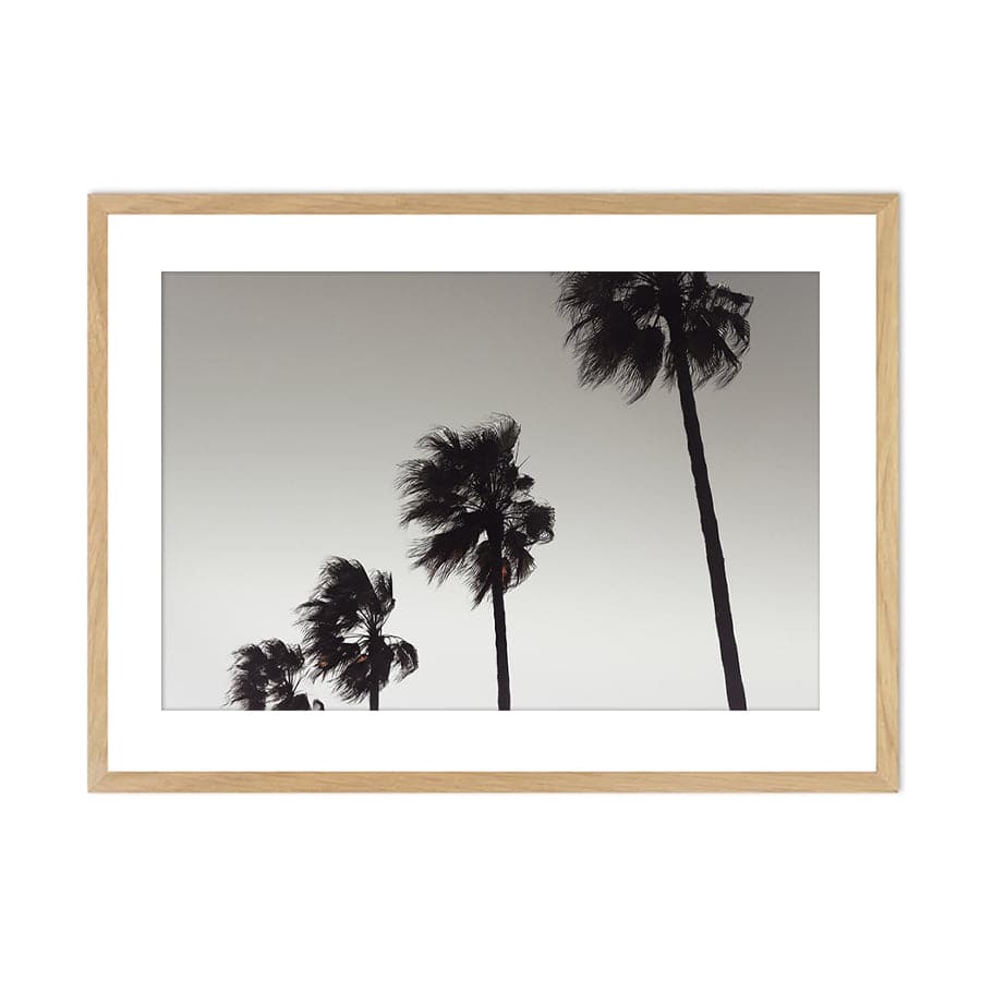 Palm 004 by Studio Scandi III