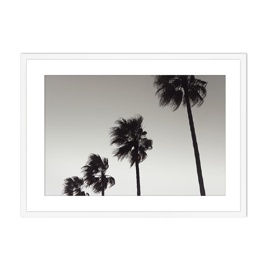 Palm 004 by Studio Scandi III