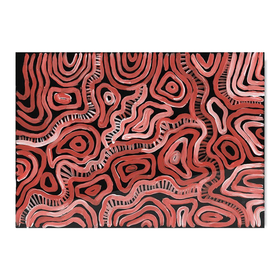 Makukara Ngurra by Maddy Hope-Hodgetts