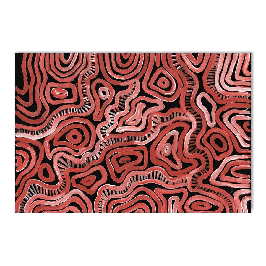 Makukara Ngurra by Maddy Hope-Hodgetts