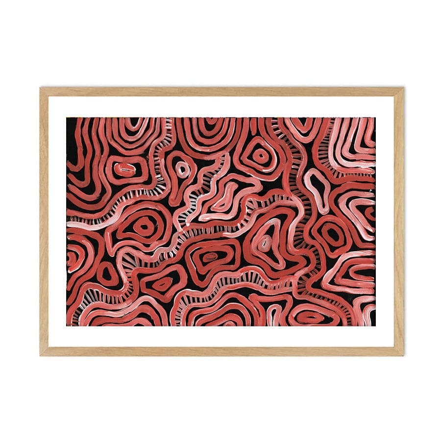 Makukara Ngurra by Maddy Hope-Hodgetts