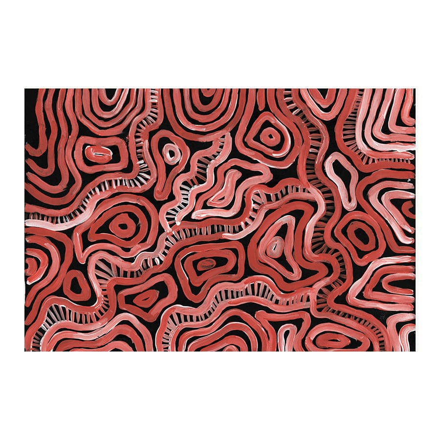 Makukara Ngurra by Maddy Hope-Hodgetts