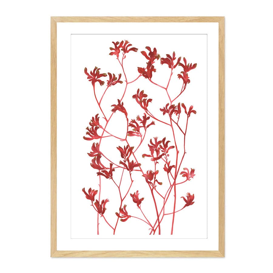 Kangaroo Paws by Natalie Ryan