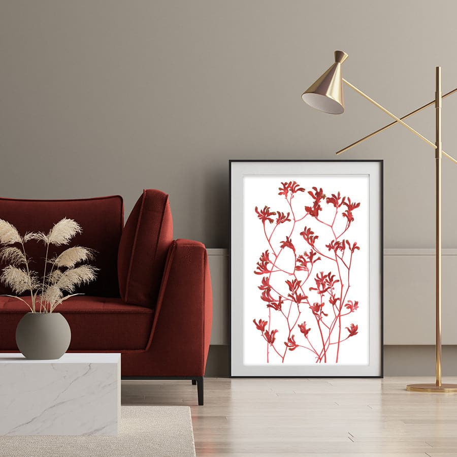 Kangaroo Paws by Natalie Ryan
