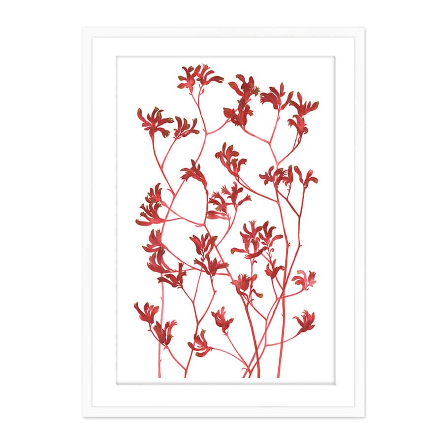 Kangaroo Paws by Natalie Ryan