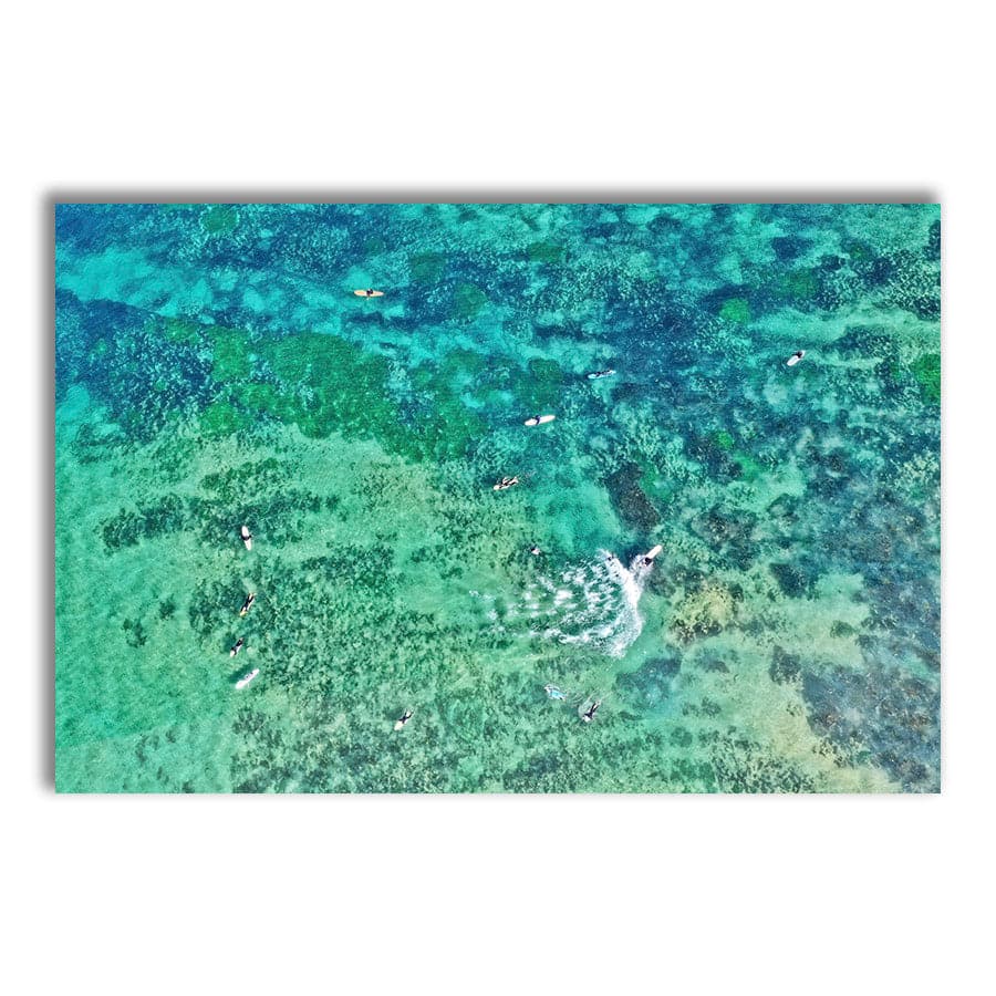 Crystal Clear Surf, North Shelly by Beata Young