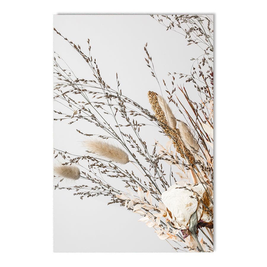 Dried Flowers 008 by Studio Scandi III