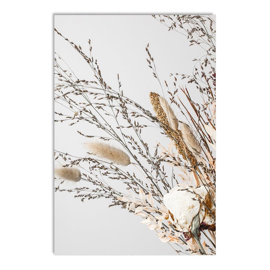 Dried Flowers 008 by Studio Scandi III
