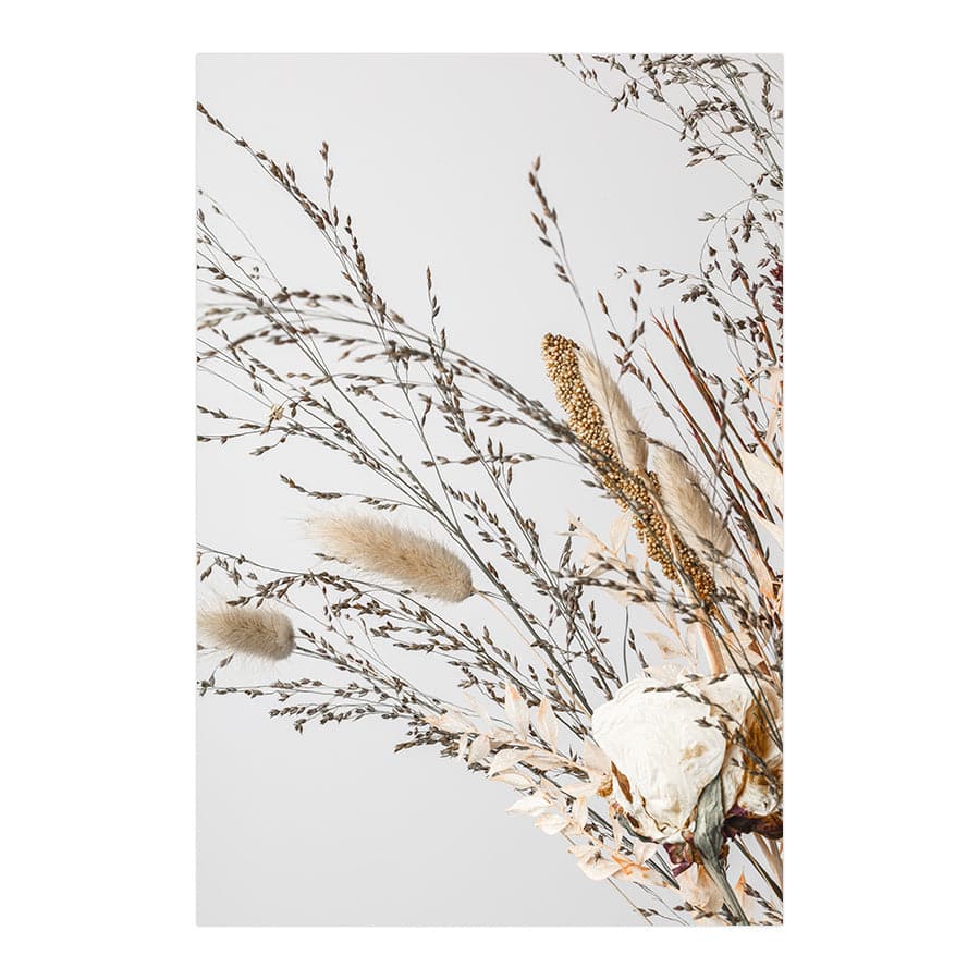 Dried Flowers 008 by Studio Scandi III