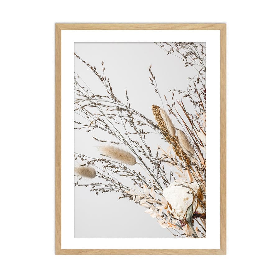 Dried Flowers 008 by Studio Scandi III