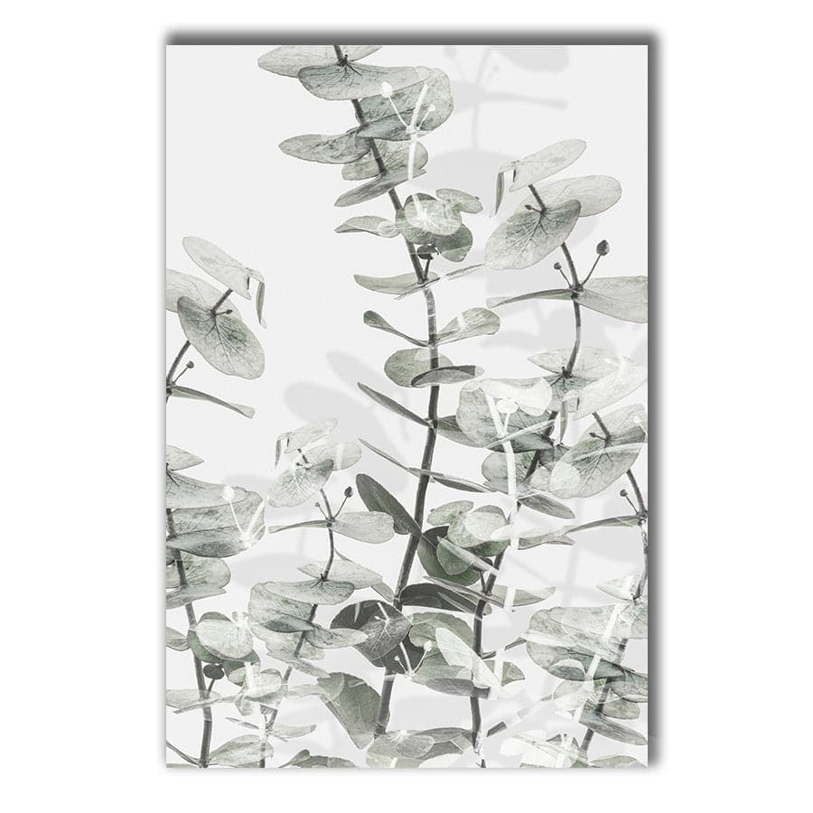 Eucalyptus 001 by Studio Scandi III