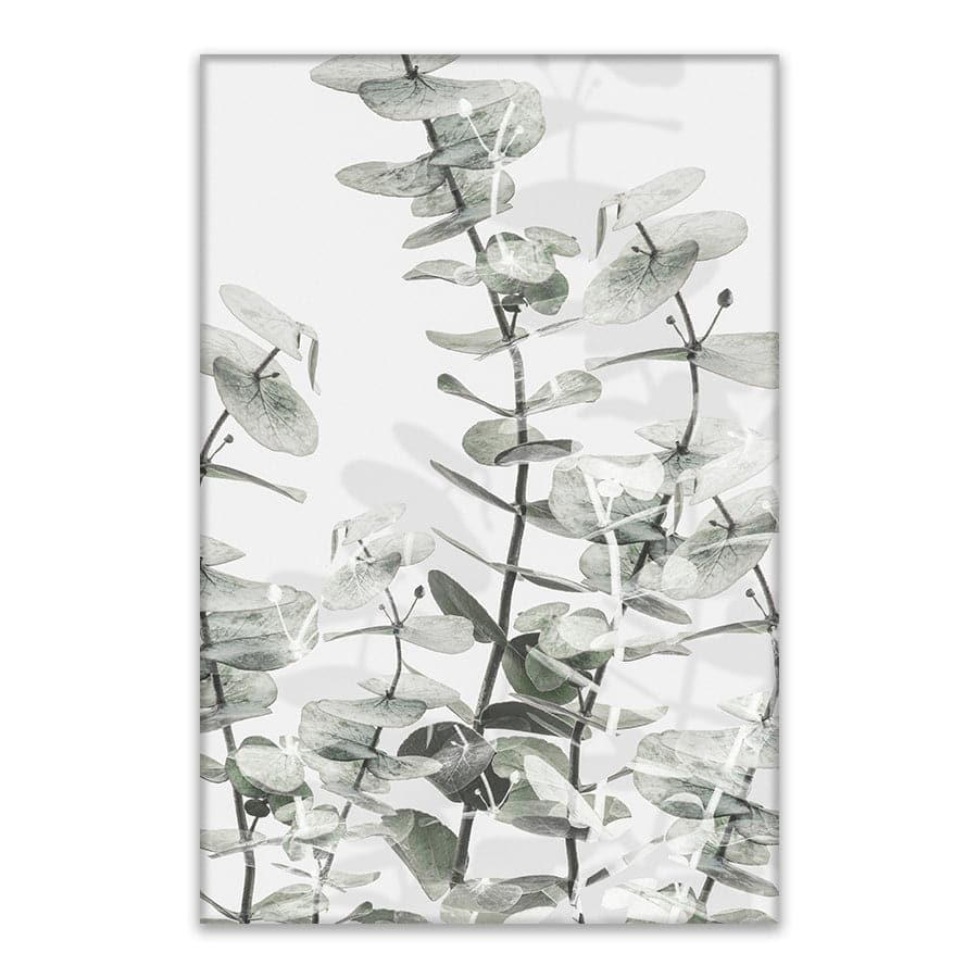 Eucalyptus 001 by Studio Scandi III