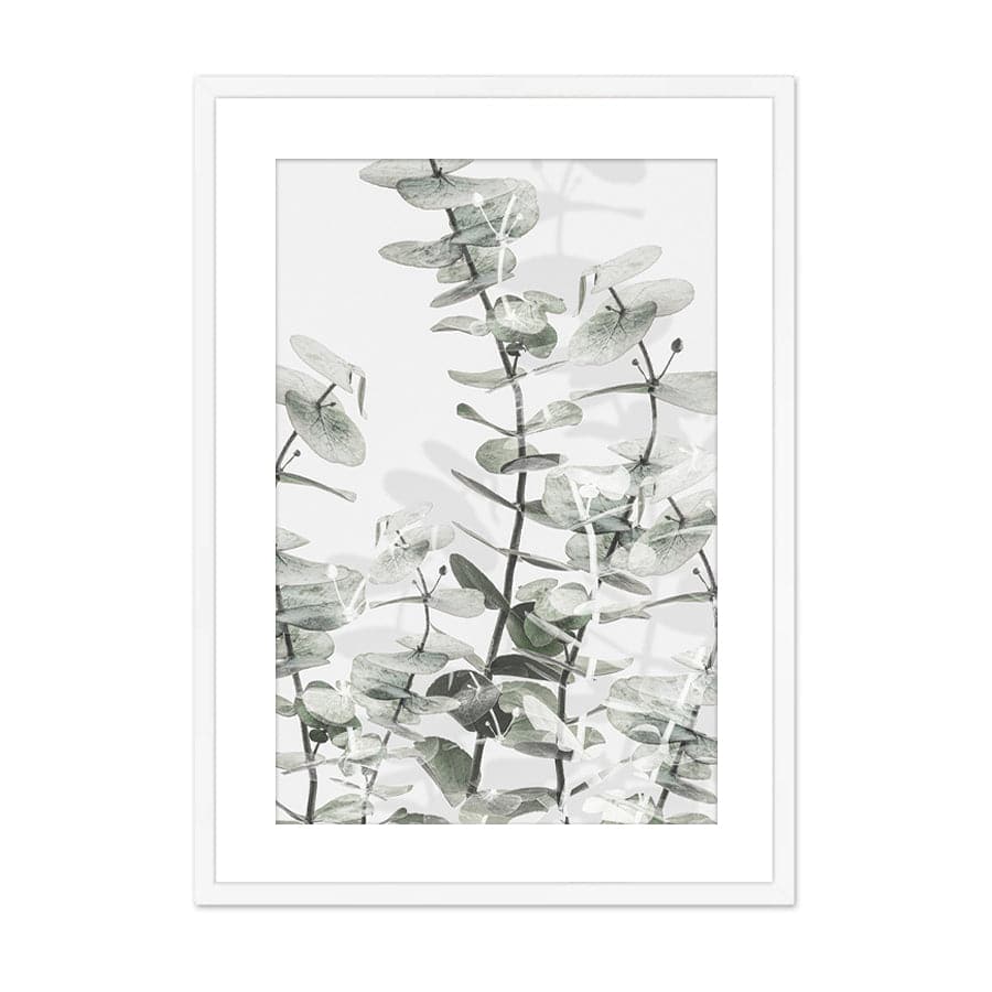 Eucalyptus 001 by Studio Scandi III