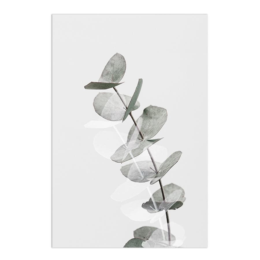 Eucalyptus Creative 05 by Studio Scandi III