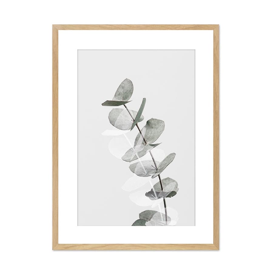 Eucalyptus Creative 05 by Studio Scandi III