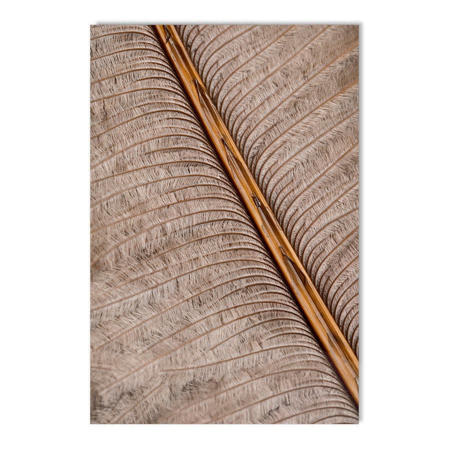 Feather 007 by Studio Scandi III
