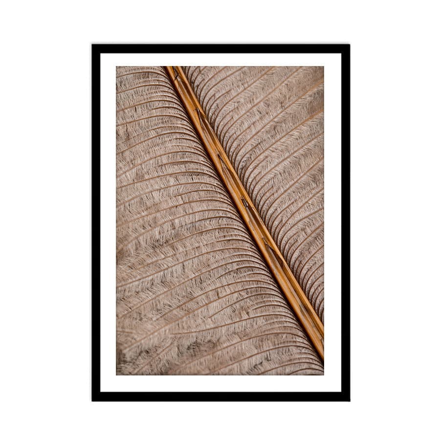 Feather 007 by Studio Scandi III