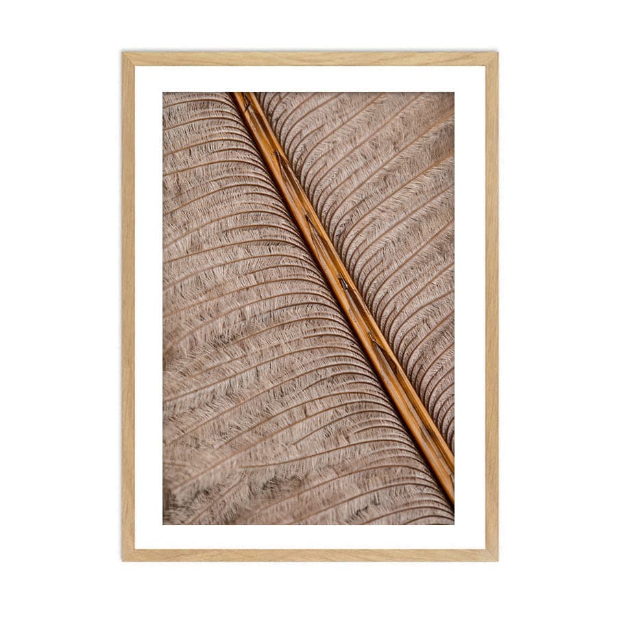 Feather 007 by Studio Scandi III