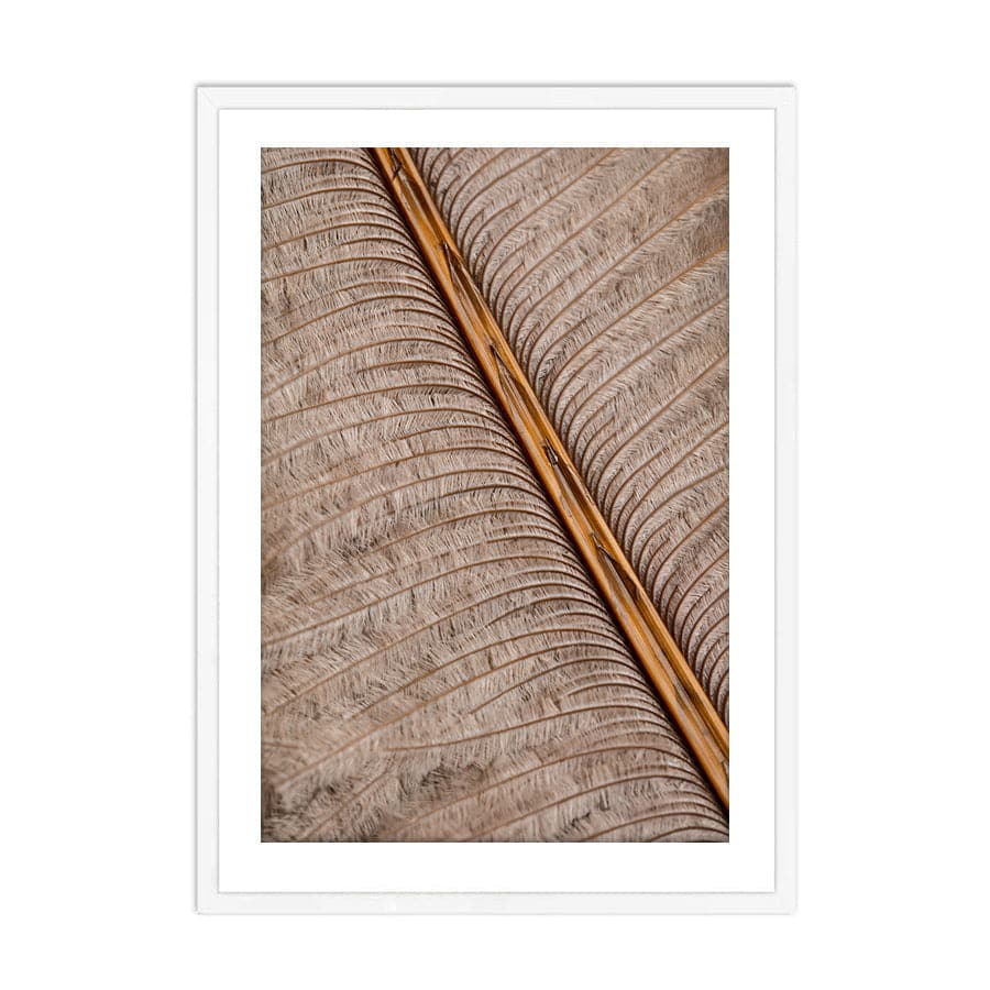 Feather 007 by Studio Scandi III