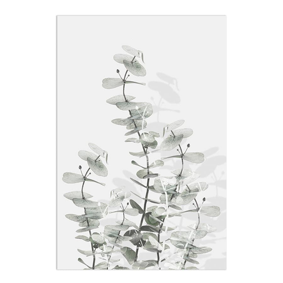 Eucalyptus Creative 15 by Studio Scandi III