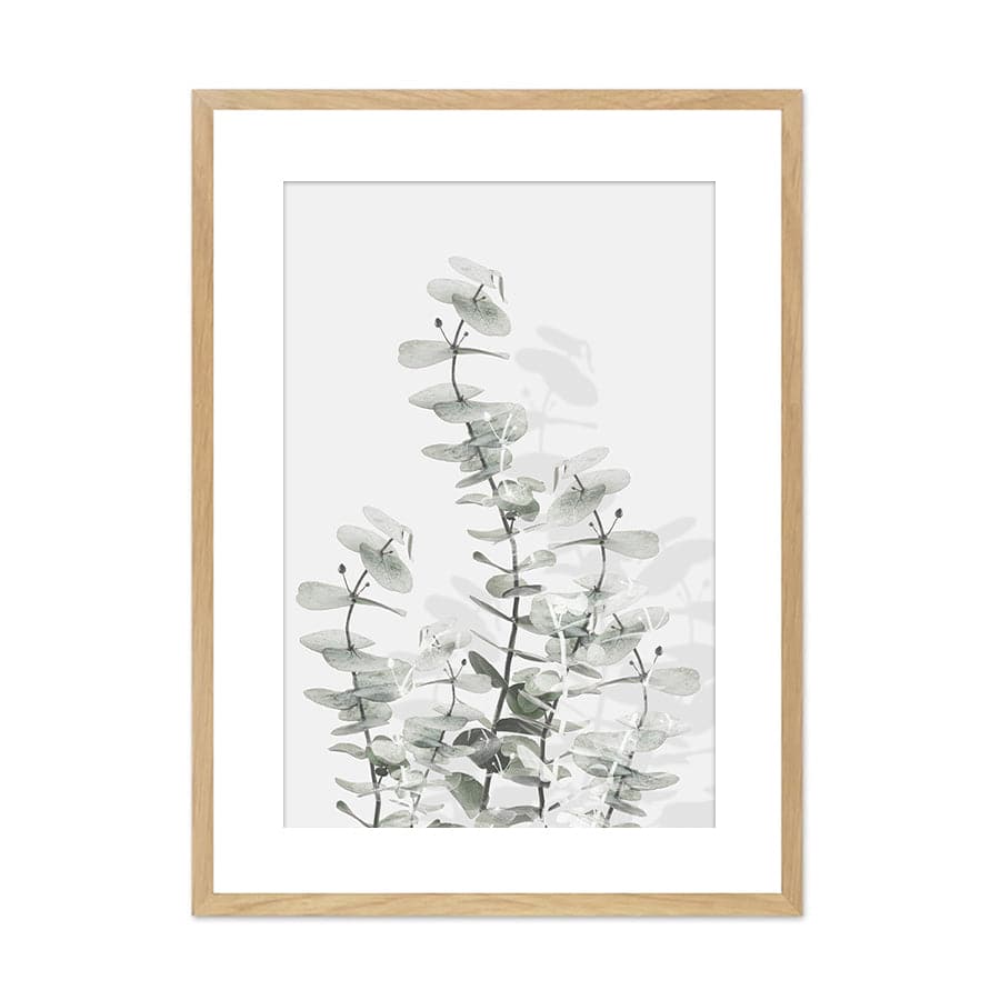 Eucalyptus Creative 15 by Studio Scandi III