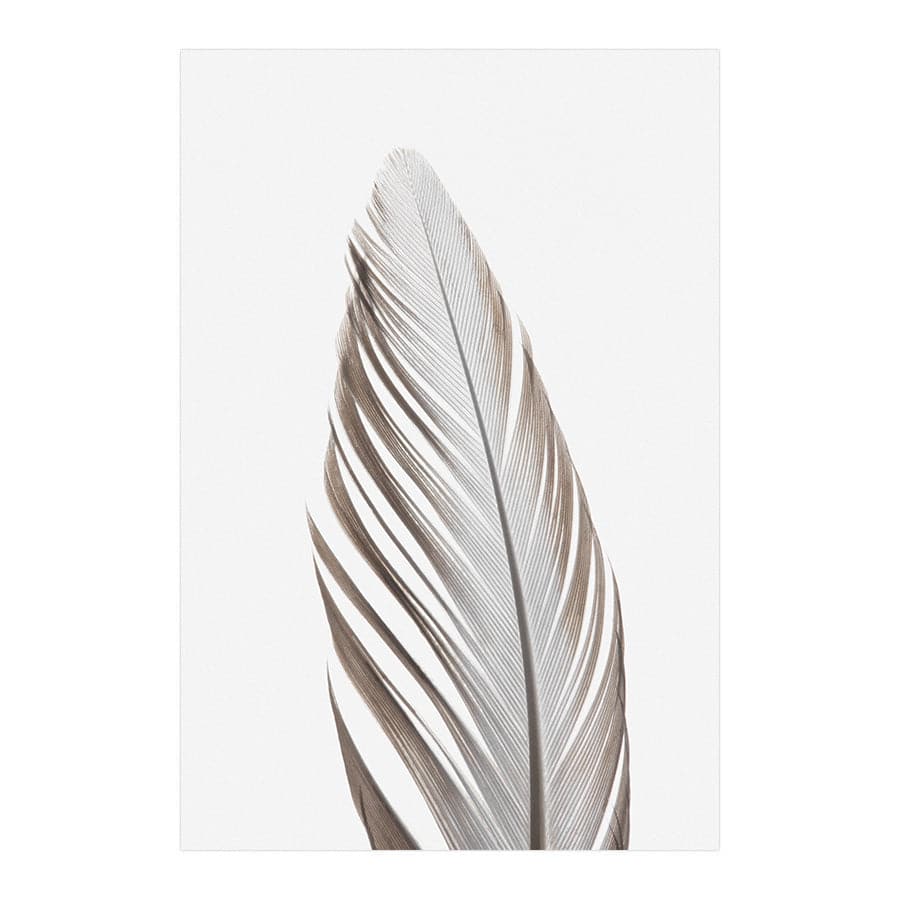 Feather 003 by Studio Scandi III