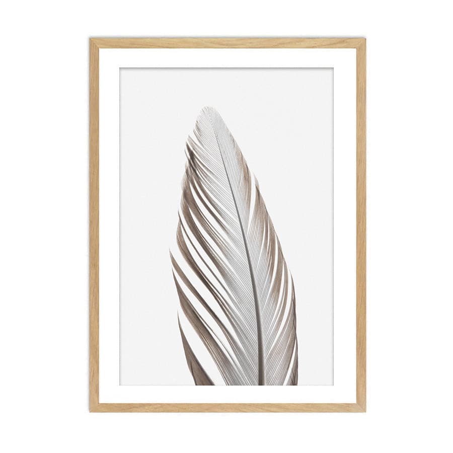 Feather 003 by Studio Scandi III