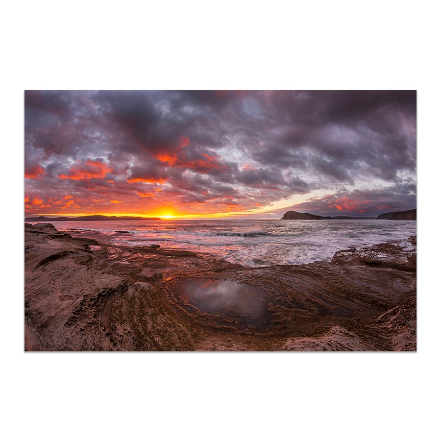 Pearl Beach Sunset by Steve Daggar
