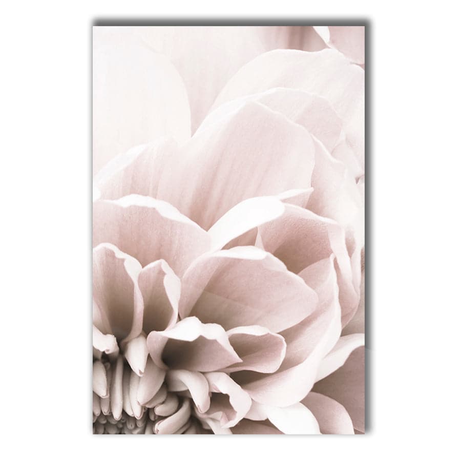 Chrysanthemum 07 by Studio Scandi III