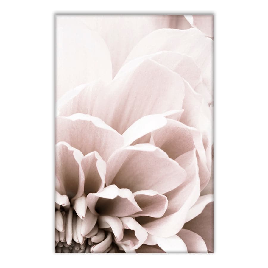 Chrysanthemum 07 by Studio Scandi III