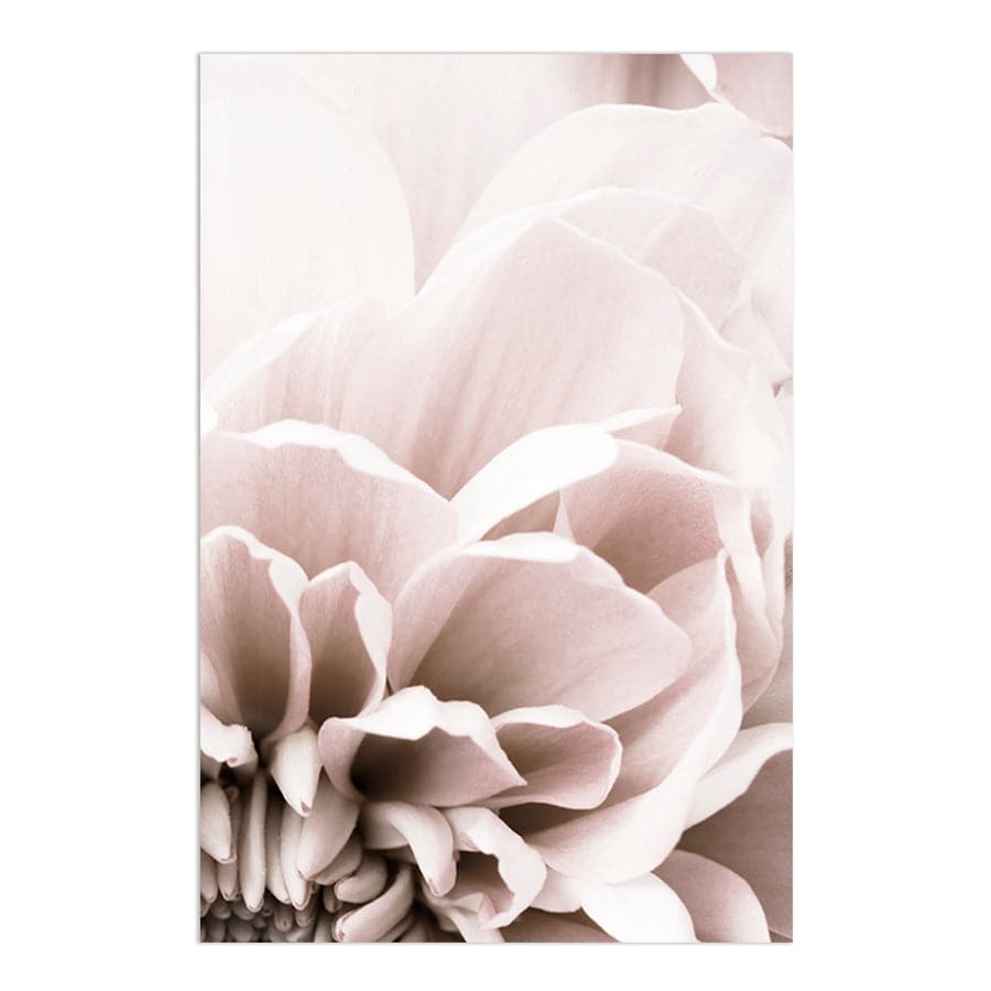 Chrysanthemum 07 by Studio Scandi III