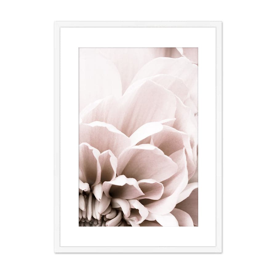 Chrysanthemum 07 by Studio Scandi III