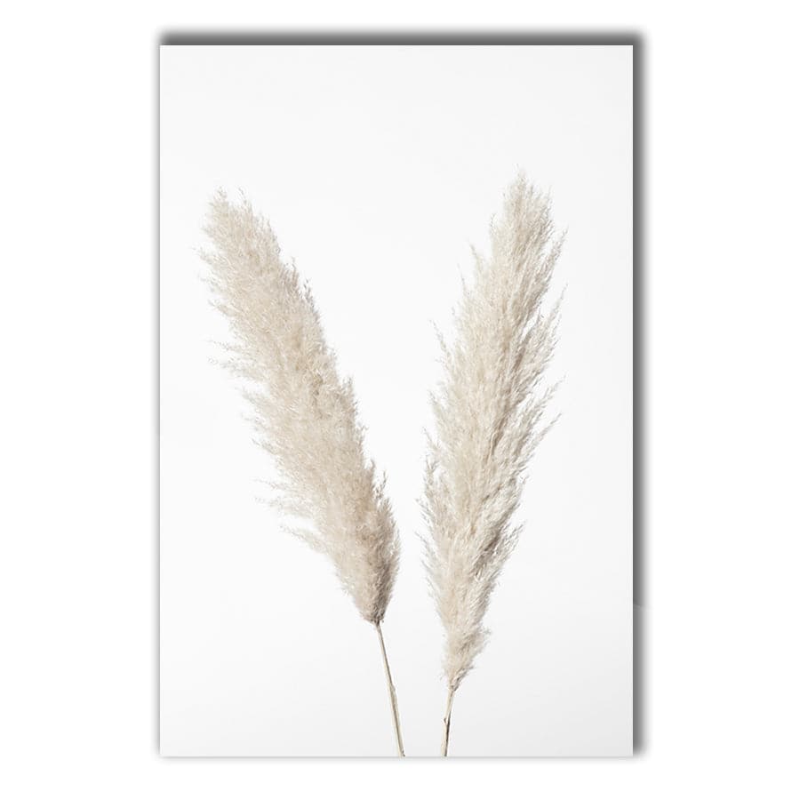 Pampas White by Studio Scandi III