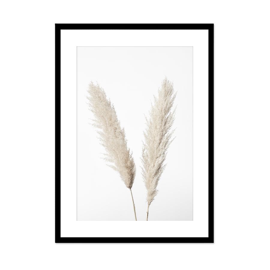 Pampas White by Studio Scandi III