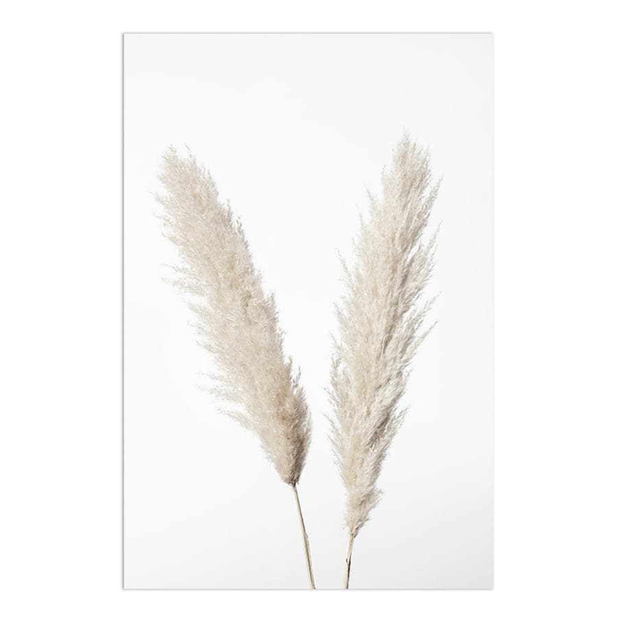 Pampas White by Studio Scandi III