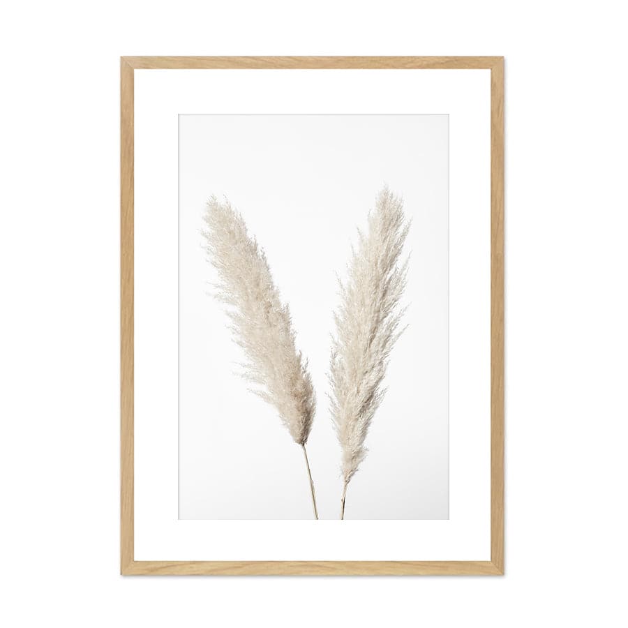 Pampas White by Studio Scandi III