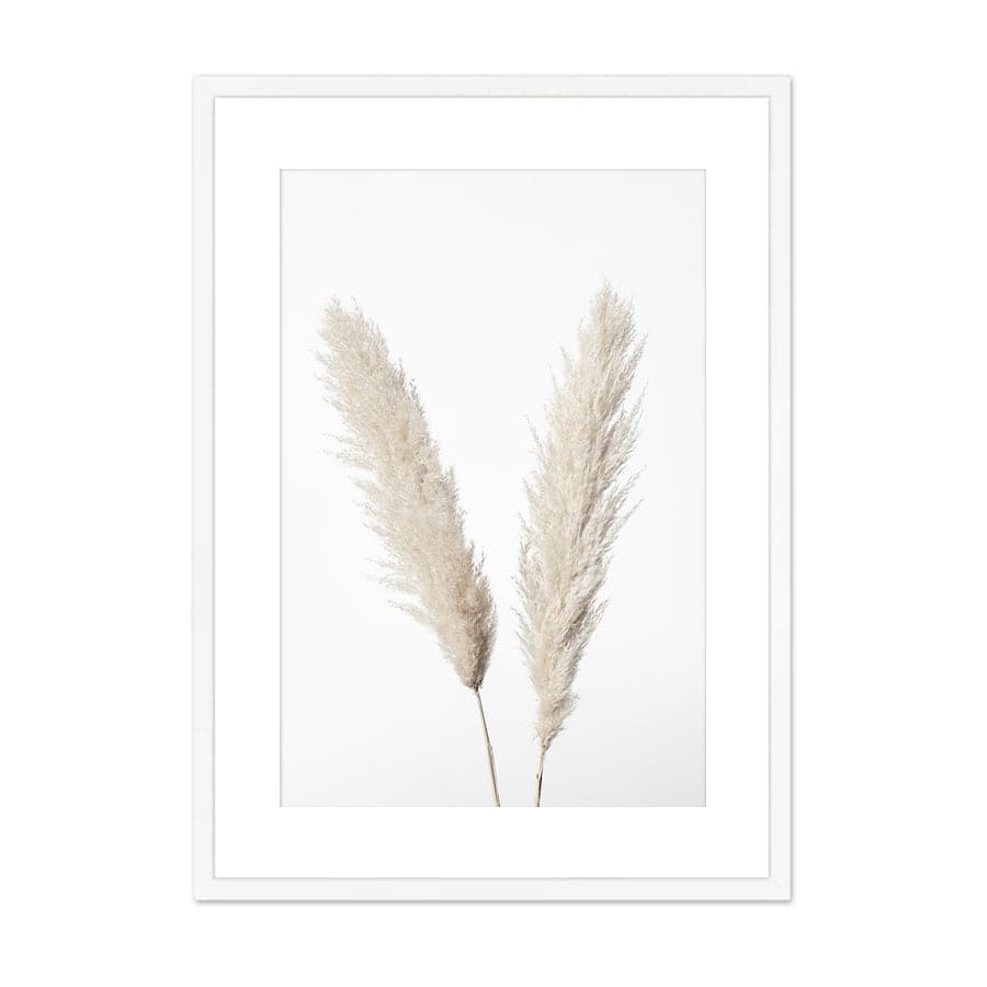 Pampas White by Studio Scandi III