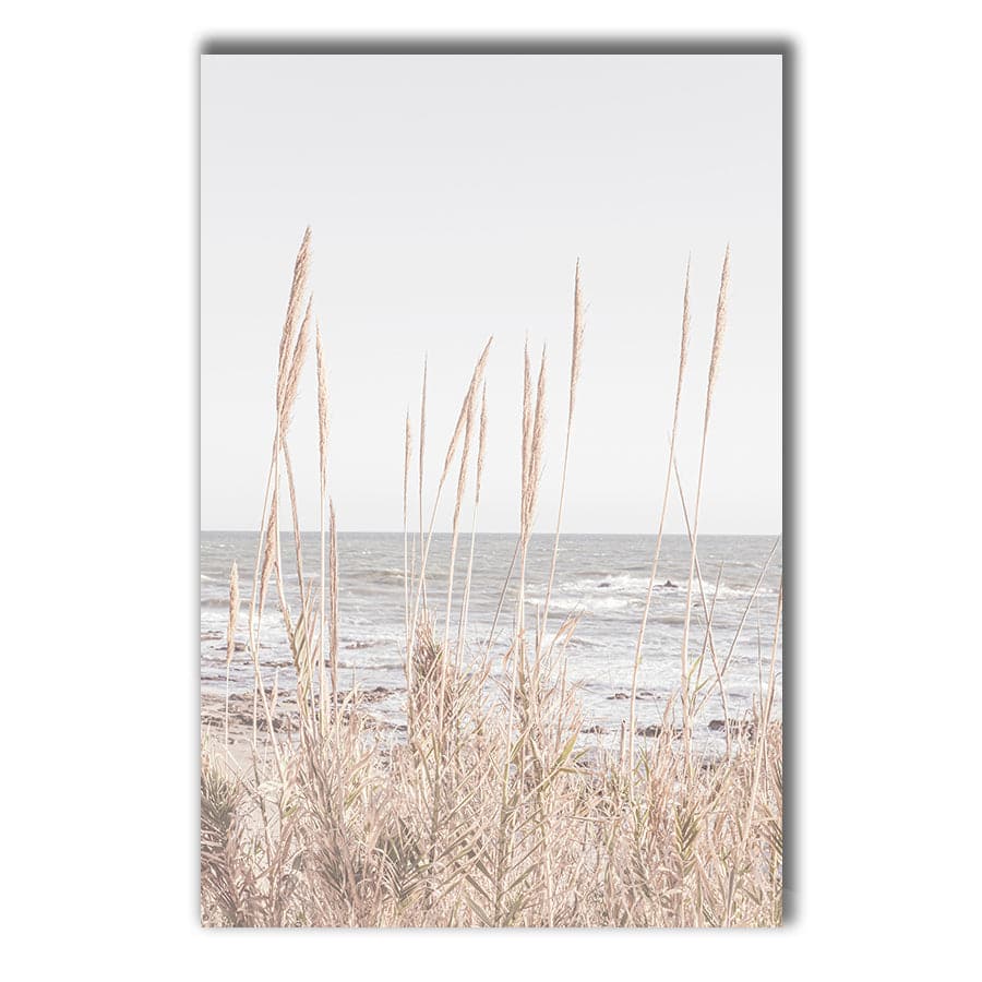 Beach Vass 001 by Studio Scandi III