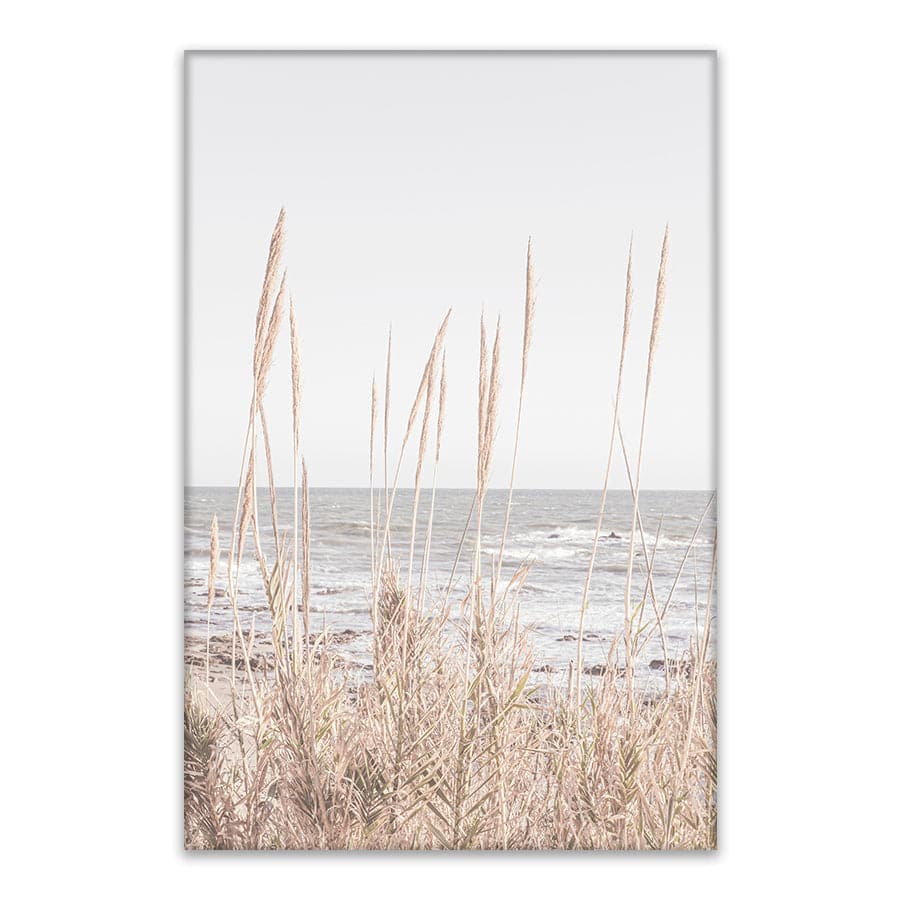 Beach Vass 001 by Studio Scandi III