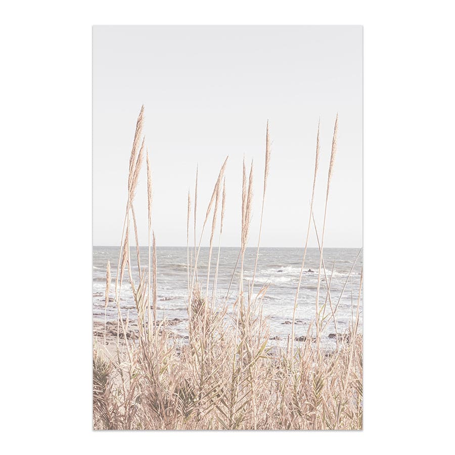 Beach Vass 001 by Studio Scandi III