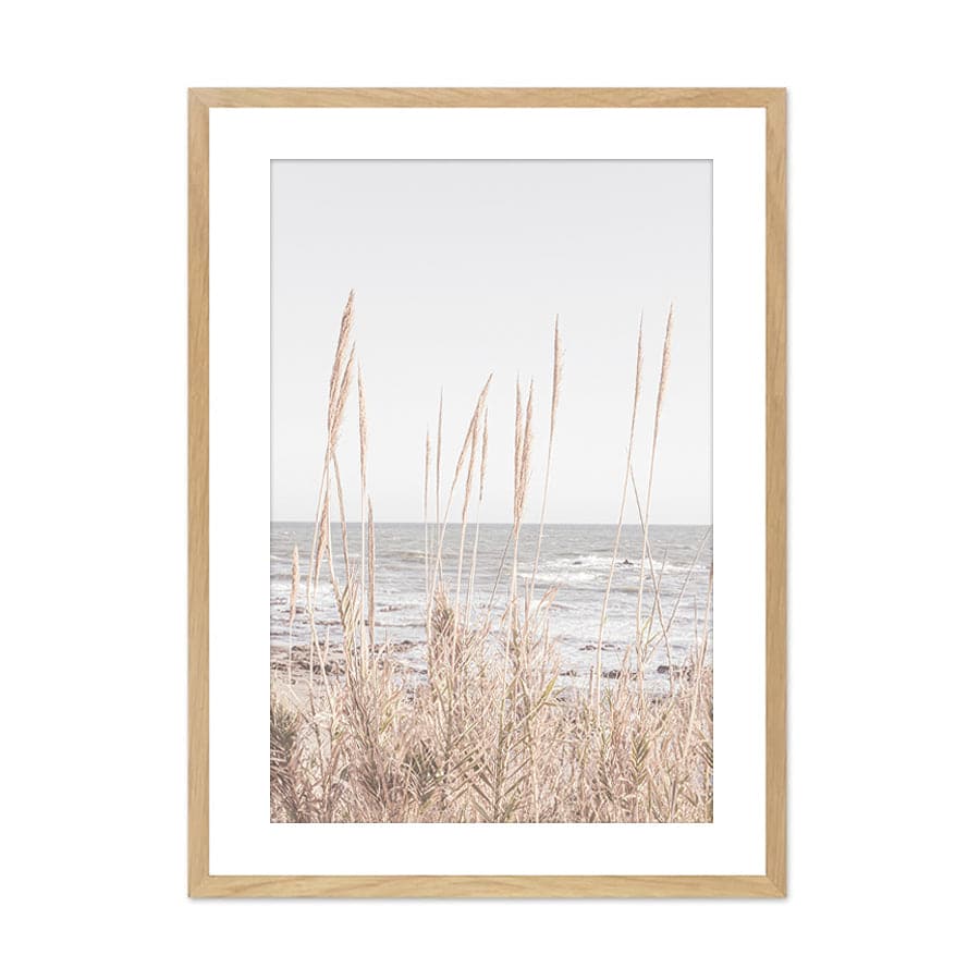 Beach Vass 001 by Studio Scandi III